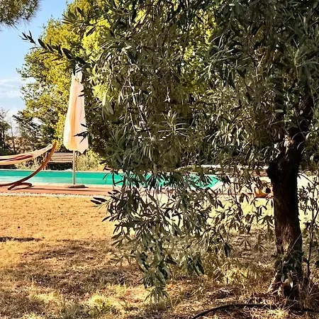 Podere San Luigi - A Real Tuscan Experience Santa Luce